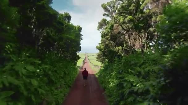 Людина, яка йде ґрунтовою дорогою між деревами на острові Сан - Хорхе (Азоре, Португалія). — стокове відео