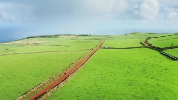 Hombre corriendo por carretera Isla de Sao Jorge, Azores, Portugal, Europa — Vídeos de Stock