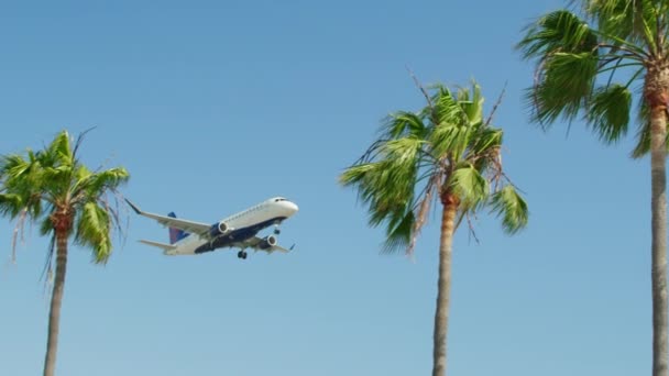 Avión de cámara lenta cinematográfico aterrizando detrás de palmeras verdes. Viaje 8K — Vídeos de Stock
