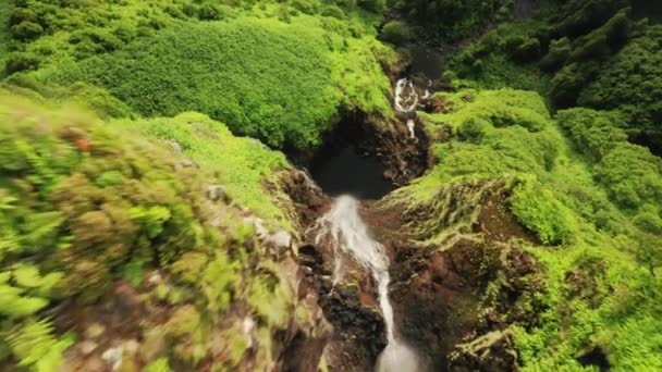 Waterfall of Poco Ribeira do Ferreiro, Alagoinha, Flores Island, Azores,Portugal — Stock Video