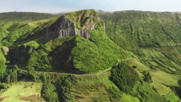 Roślinność rosnąca na wzgórzach gór na Flores Island, Azory, Portugalia — Wideo stockowe