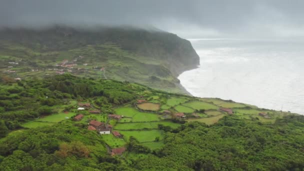 Вид з повітря на пишну сільську місцевість та прокатні пагорби — стокове відео