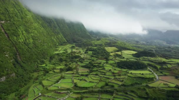 Campos agrícolas verdes no vale da Ilha das Flores, Açores, Portugal, Europa — Vídeo de Stock