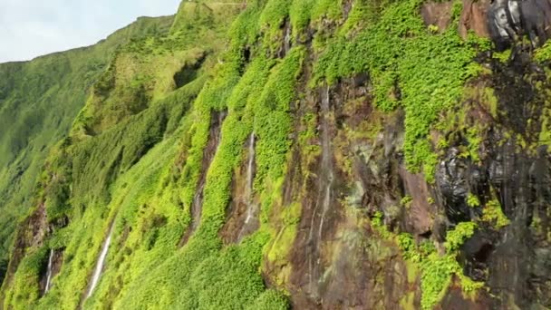 Watervallen watervallen in de vallei van Poco Ribeira do Ferreiro, Flores Island, Azoren — Stockvideo