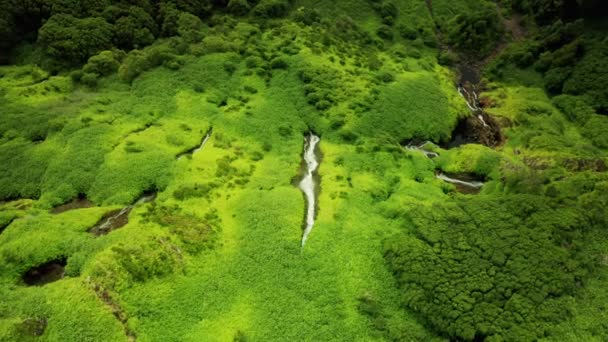 Zielone wodospady Poco Ribeira do Ferreiro, Alagoinha, Wyspa Flores, Azory — Wideo stockowe