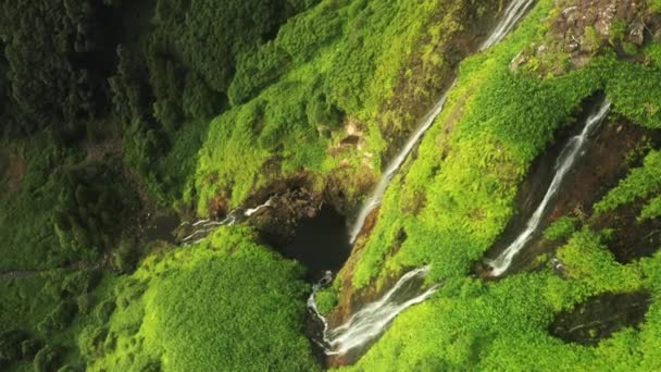 Watervallen in Poco Ribeira do Ferreiro, Alagoinha vallei, Flores Island, Azoren — Stockvideo