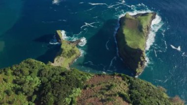 Okyanus suları Casa do Gato Tomas, Flores Adası, Azores 'in kayalık kıyılarını kuşattı.
