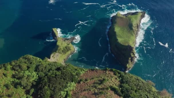 Океанские воды окружили скалистое побережье Каса ду Гато Томаш, остров Флорес, Азорские острова — стоковое видео