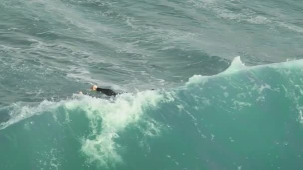 Långsamma rörelser av lämpliga kaukasiska surfare gör ett ankdyk under en rusande tunna våg — Stockvideo
