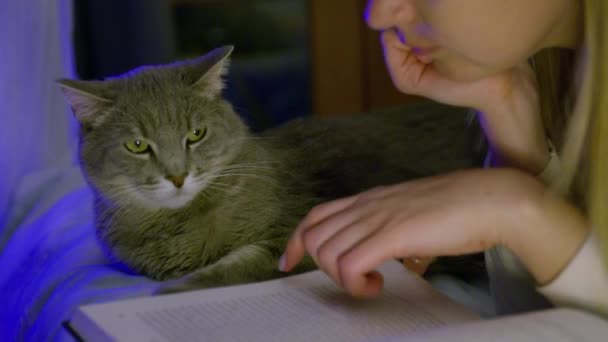 Scena nocna przytulna domowa atmosfera, młoda kobieta czytająca książkę i pieszcząca kota RED — Wideo stockowe