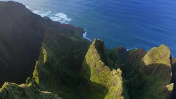 열 대 하와이 섬의 순수 한 자연. 푸른 바 다 해안 위로 솟아 있는 푸른 산들 — 비디오