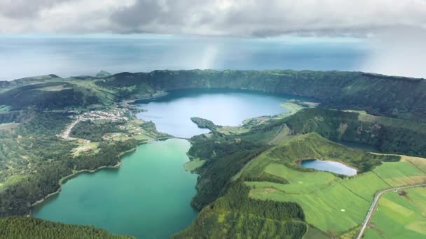 Beautiful vivid bloom as seen from top — Vídeo de stock