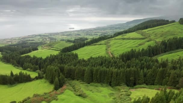 Pittoresco arcipelago ricoperto di verde lussureggiante — Video Stock