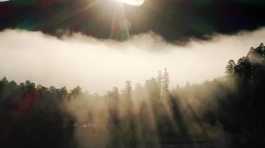 Geniş bir körfezin ve yemyeşil manzaranın havadan görüntüsü