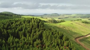 Arazinin yemyeşil bitki örtüsüyle kaplı insansız hava aracı görüntüleri.
