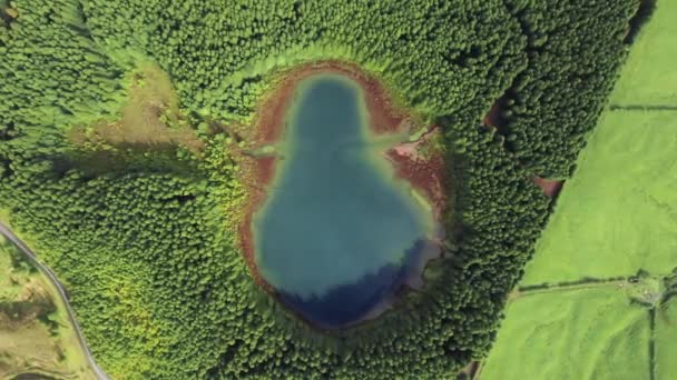 Uitzicht vanuit de lucht op het prachtige landschap met het meer en bos — Stockvideo