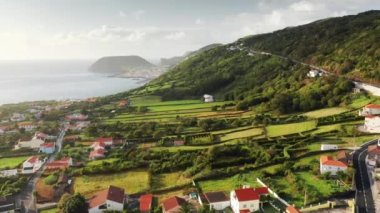 Volkanik yarımadanın yemyeşil bitkilerle dolu hava görüntüleri.