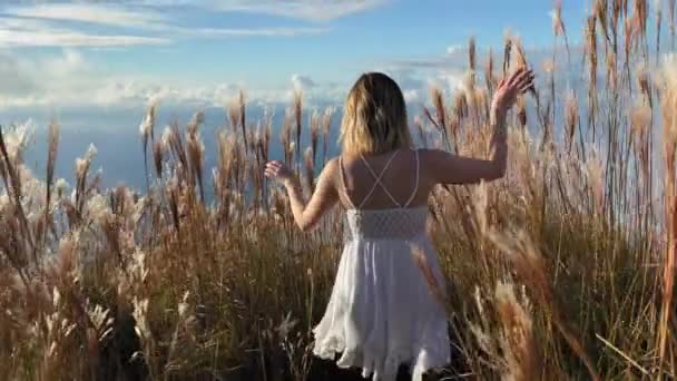 Jeune voyageuse au ralenti marchant dans l'herbe haute au coucher du soleil, nature sauvage — Video