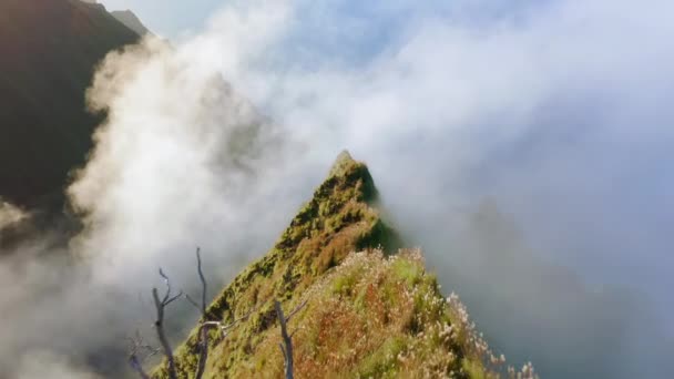 Montanhas cinematográficas aéreas, voando através de nuvens acima de picos verdes rochosos. 4K — Vídeo de Stock