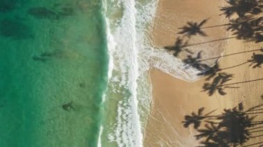 Tropikal plaj havası için ideal bir manzara. Temiz su ile mükemmel yaz arkaplanı