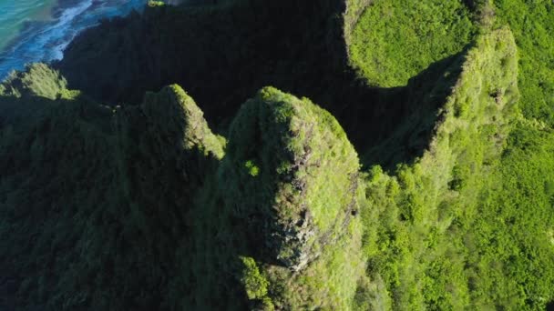 Prachtige natuur achtergrond, rotsachtig strand en groene kliffen antennes 4K beeldmateriaal — Stockvideo