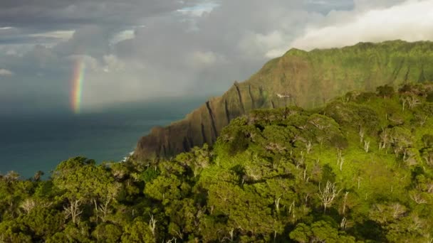 Beautiful Kauai coastline arial with rainbow in cloudy sky at sunset, 4K footage — стокове відео