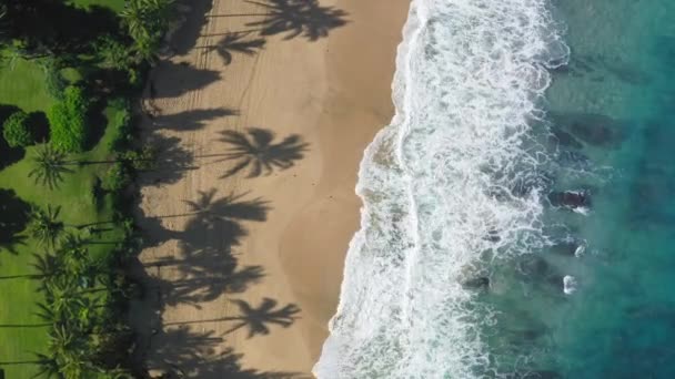 Ilha paraíso aéreo, imagens móveis verticais, Havaí ilha praia costa 4K — Vídeo de Stock