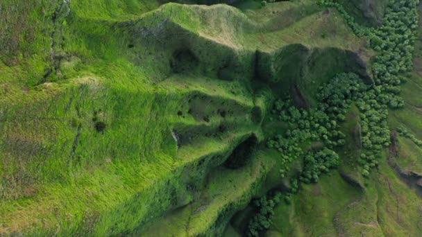 鮮やかな緑豊かな自然背景、トップダウン空中ジャングル緑の急な斜面 — ストック動画