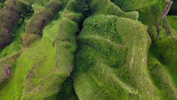緑の山のピーク、 4K風光明媚な自然映像の上に航空機を撃墜シネマティックトップ — ストック動画
