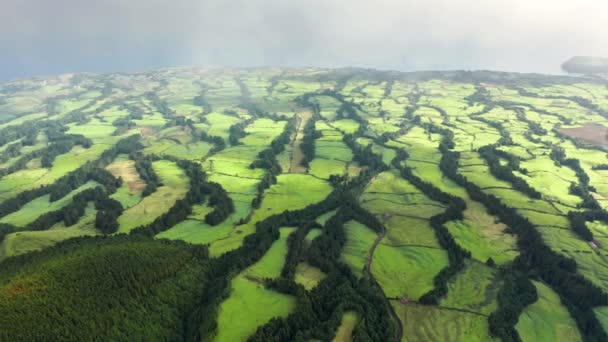 Campos agrícolas que cubren la isla volcánica de Sao Miguel, Azores, Portugal — Vídeos de Stock