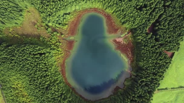 Лагуна Канарис в кратере вулкана, расположенном в лесу, остров Сао Фалуэль, Азорские острова — стоковое видео