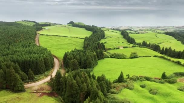 Campos de presas que crescem na ilha de São Miguel no dia nublado, Açores — Vídeo de Stock