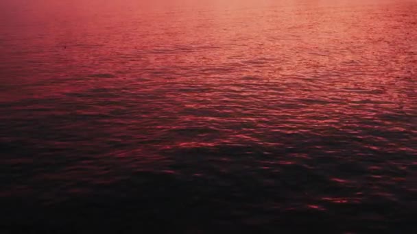 여름의 일몰 하늘 은물 표면에 반사되어 나타난다. 4K 필름 자연 분홍빛 일몰 장면 — 비디오