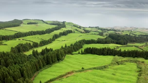 Isla de Sao Miguel con campos verdes en el campo, Azores, Portugal, Europa — Vídeo de stock