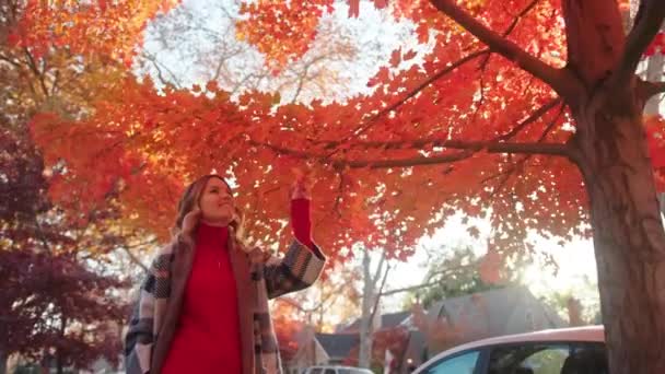 Όμορφο φθινοπωρινό φύλλωμα αργή κίνηση 4k βίντεο, χαμογελαστή γυναίκα την ηλιόλουστη μέρα του φθινοπώρου — Αρχείο Βίντεο