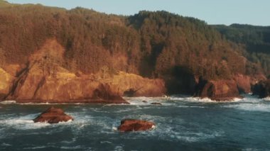 Gün batımında Pasifik Okyanusu kıyısındaki çam ormanının hava görüntüsü, Oregon 4K