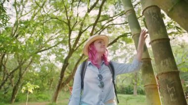 Doğayla ilgilenen insanlar, kadın eli nazikçe bambu ağacına dokunur, 4K 