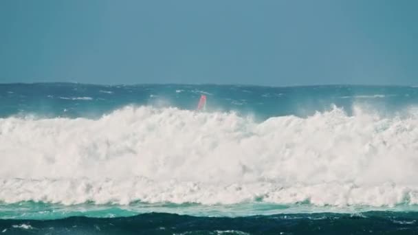 4K Hawai, Tiburón Isla Maui, Windsurfer montando poderosas olas del océano — Vídeo de stock