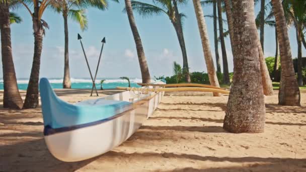 Idealne letnie tło wakacyjne 4K, hawajski kajak na plaży oceanicznej, palmy — Wideo stockowe