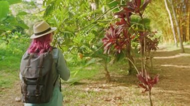 Hawaii 4K 'de yeşil manzaralı bahçede yürüyen pembe saçlı yavaş çekim yolcusu.