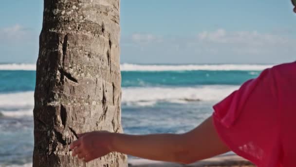 Kinosommer Hawaii, Zeitlupe Frau mit rosa Haaren am Sandstrand — Stockvideo