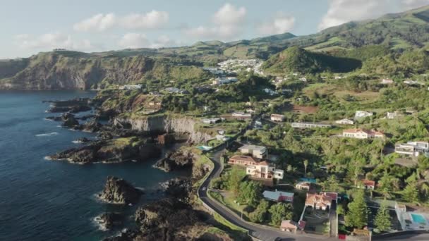 大西洋内の固有植物で覆われた岩の崖 — ストック動画