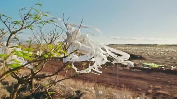 Paix verte séquences 4K avec la nature polluée par des sacs en plastique, Changement climatique 4K — Video