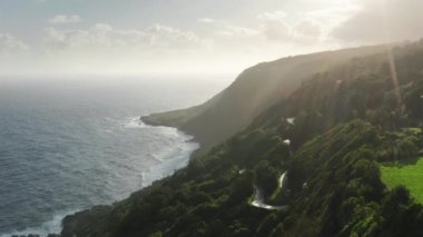 Sao Jorge Adası, Azores, Portekiz 'deki dağlık tepelerde büyüyen dişler.