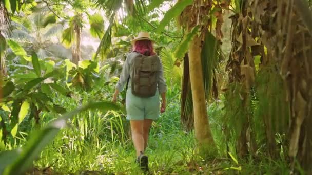 Femme randonnée dans la jungle de la forêt tropicale. Fille vue arrière avec sac à dos en forêt — Video
