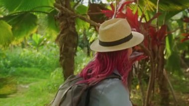 Açık hava yaz macerası, sırt çantalı bir kadın tropikal orman ormanlarında yürüyor.