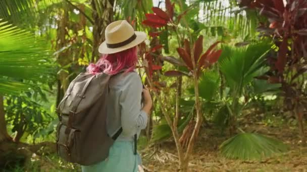 旅游博主在竹林中远足，探索热带夏威夷岛，4K — 图库视频影像