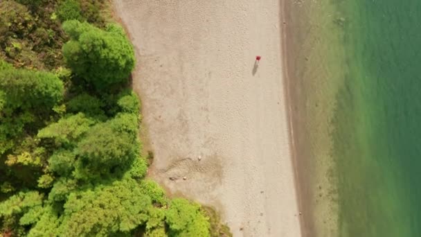Drone d'un homme courant le long d'une plage — Video