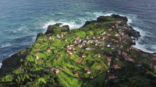 Villas privadas situadas en la isla verde de Sao Jorge, Azores, Portugal, Europa — Vídeos de Stock