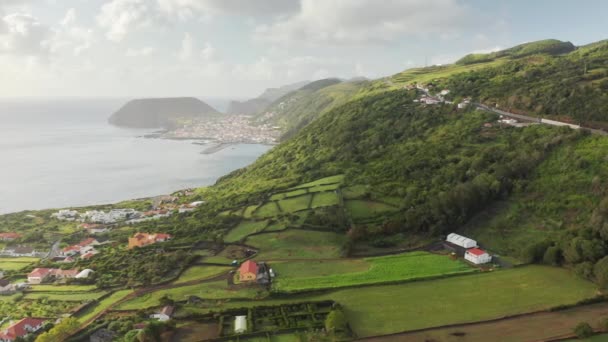 Végétation verte couvrant l'île de Sao Jorge, Açores, Portugal, Europe — Video